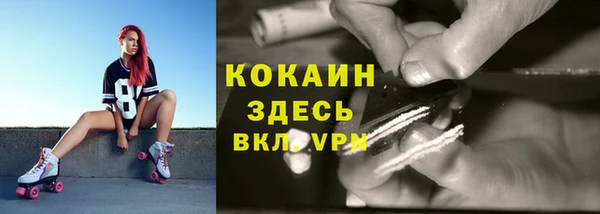 бошки Арсеньев