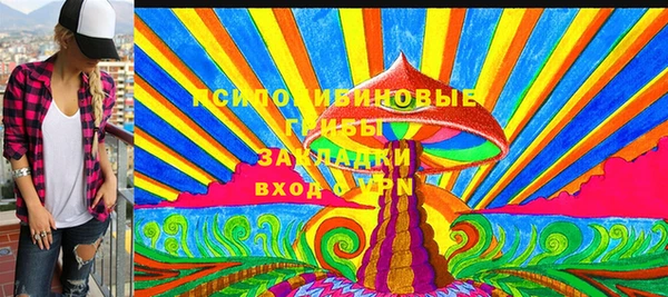 крисы Аркадак