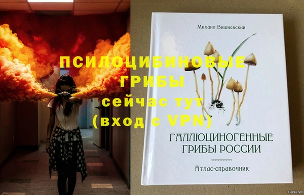 бошки Арсеньев
