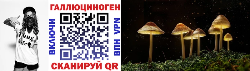 mega как зайти  даркнет телеграм  Псилоцибиновые грибы мицелий  Теберда 